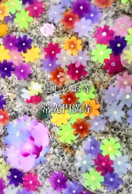 花手水アップ写真
