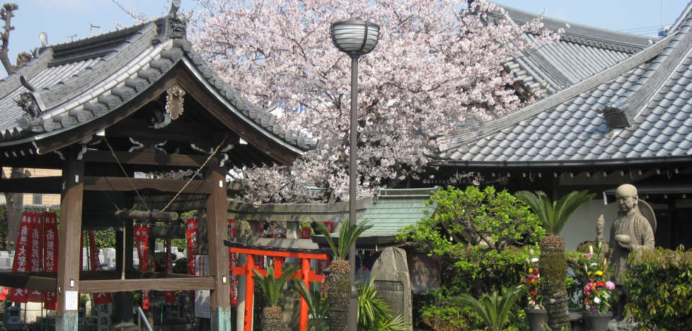 大阪の常光円満寺の境内写真